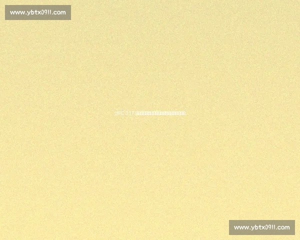 UFC 317 终极备战：八角笼即将点燃，谁能笑到最后？